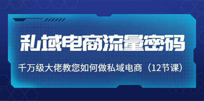 私域电商流量密码：千万级大佬教您如何做私域电商（12节课）