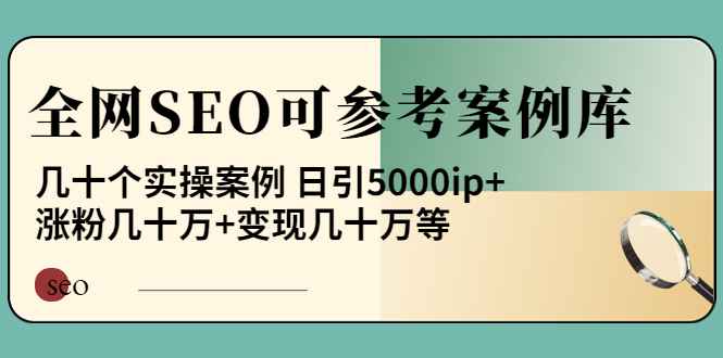 《全网SEO可参考案例库》几十个实操案例 日引5000IP 涨粉几十万