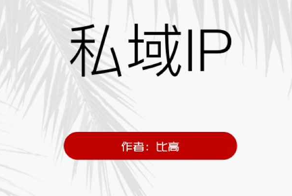 比高私域ip引流实现价值2498元