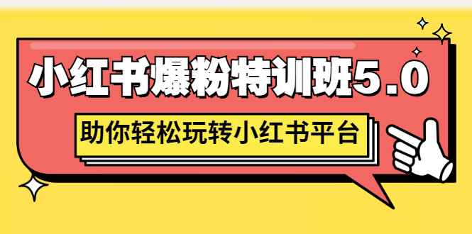 小红书爆粉专训班 小红书平台 价值1380元