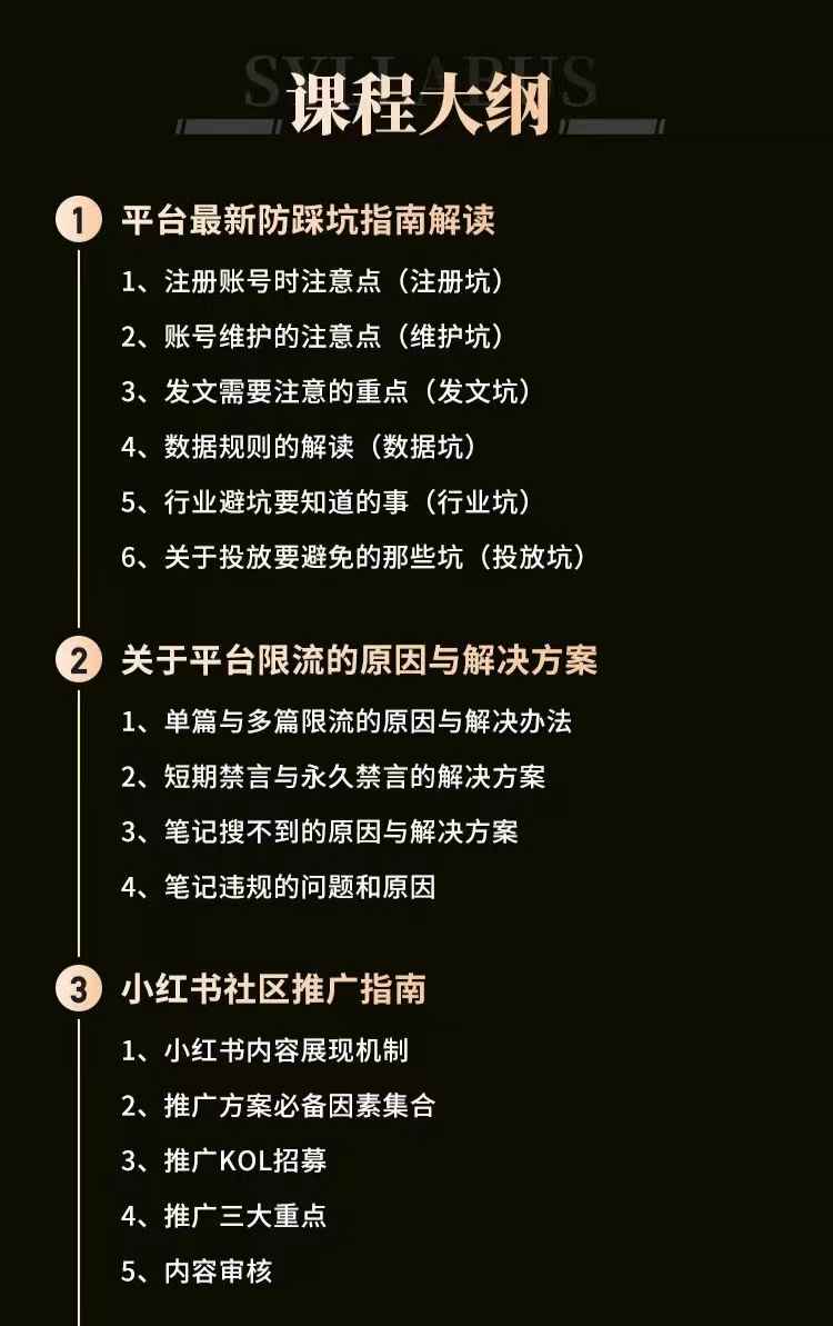 小红书透式营销收获攻略+防踩坑+推广+流量爆发+爆文创作等等！