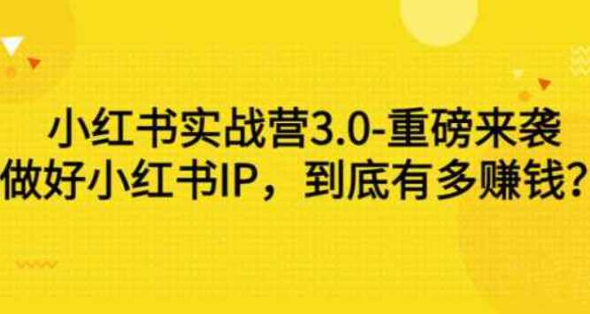 小红书实战营3.0-重磅来袭：小红书IP做得好，到底能赚多少钱？