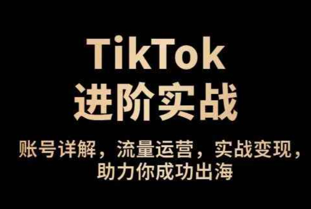 TikTok进阶实战课：账号详解，流量运营，实战变现，助力你成功出海