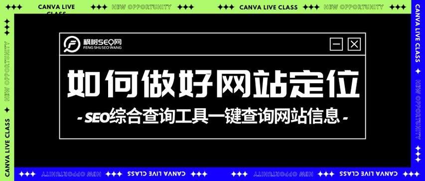 《SEO查询：了解网站在搜索引擎中的表现》