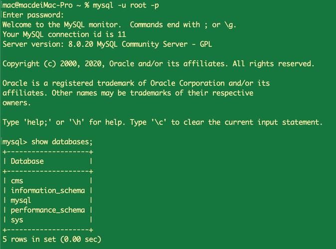 Mac版本Mysql详细安装教程(8.0版本 保姆级教学～)