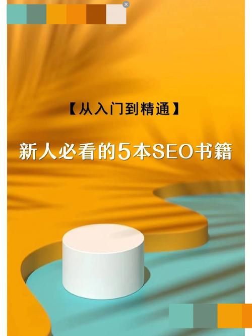 《SEO入门：从入门到精通全程指南》