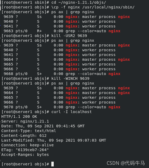 Windows安装部署nginx