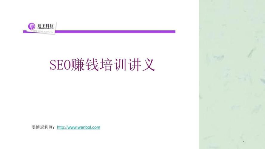 SEO培训：从入门到精通的全方位指南，教你如何赚钱！