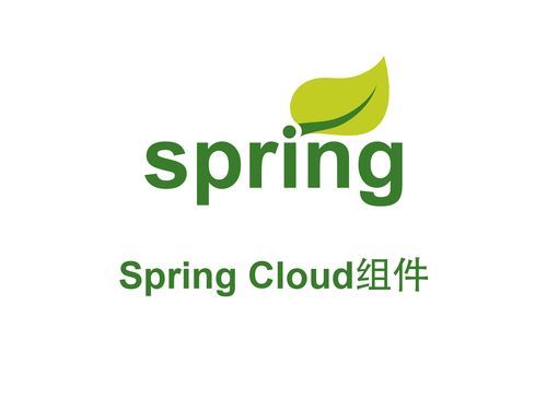 SpringCloudAlibaba常用组件