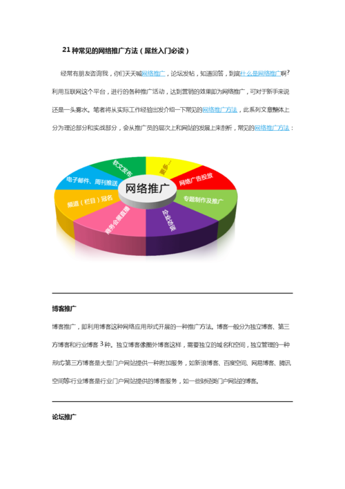 多元化网络推广策略：从单一平台到多渠道布局