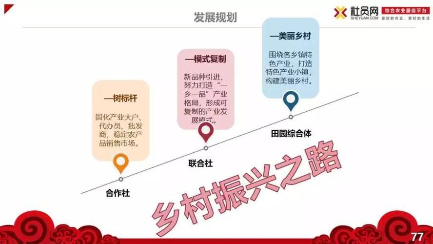 制定农产品电商运营方案需要哪些信息作为支持?