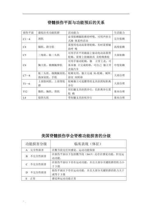 截瘫指数：探索截瘫患者的生存与康复之路 - 生存与康复之路的探索