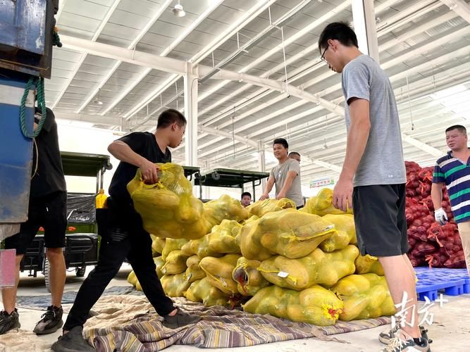 农户或农产品企业在市场营销如何协调与适应外部环境的变化?