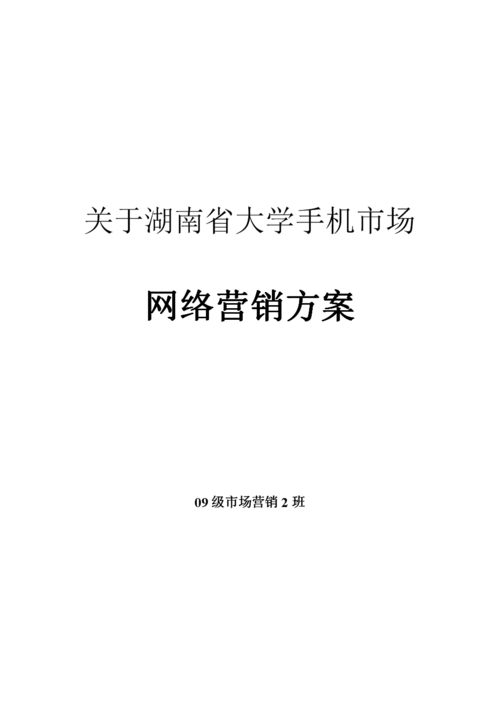 湖南网络营销：数字化时代的营销新策略-湖南网络营销崛起，引领数字化时代营销新潮流