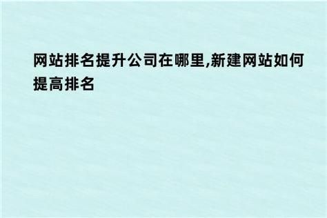 提升网站排名：理解并实施SEO策略的成功之路