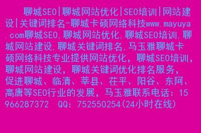 聊城SEO优化策略：提升网站排名，提高流量与转化率的具体实施方法