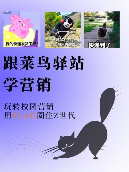 淘宝/天猫店铺运营如何做好?了解一下吧