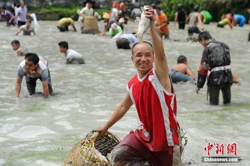 公司的什么岗位,基本上就是摸鱼岗位?