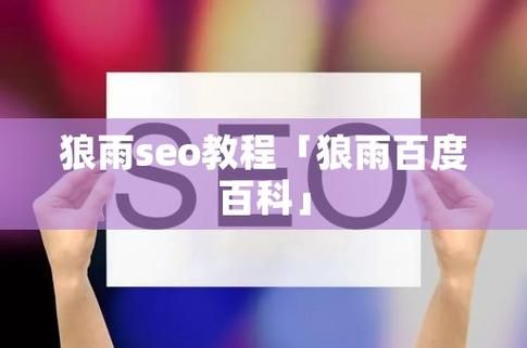 揭秘SEO优化策略：从入门到精通，狼雨助您一路领先！