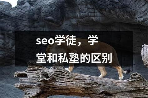 SEO实战技巧：从入门到精通的全方位指南