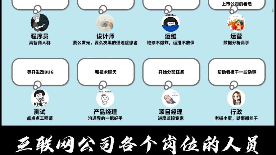 网络公司的主要业务范围：数字化转型的助推者与社会创新的引擎