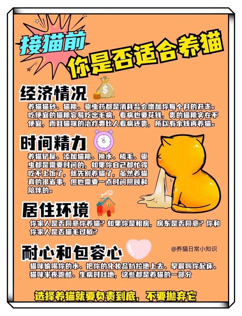 光纤猫超级账号怎么设置?