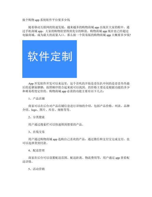 定制app软件开发的全面成本解析