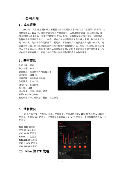 NIKE公司为什么要选择单一品牌战略(或品牌战略)?