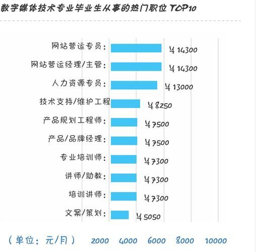 网站建设与管理就业前景分析