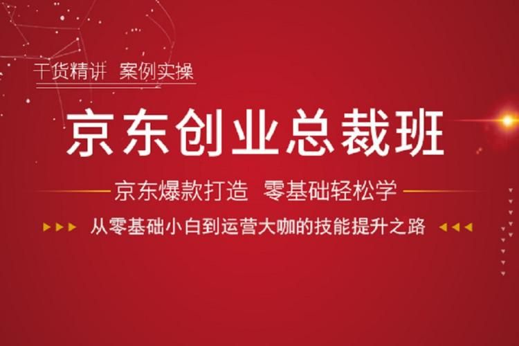 《一个人的电商运营策略与实操手记》epub下载在线阅读,求百度网盘云...