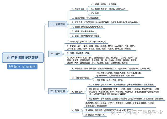 新手自媒体运营推广策略有哪些?