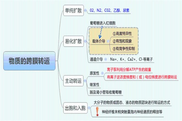 药店营业员必学药品知识有哪些?