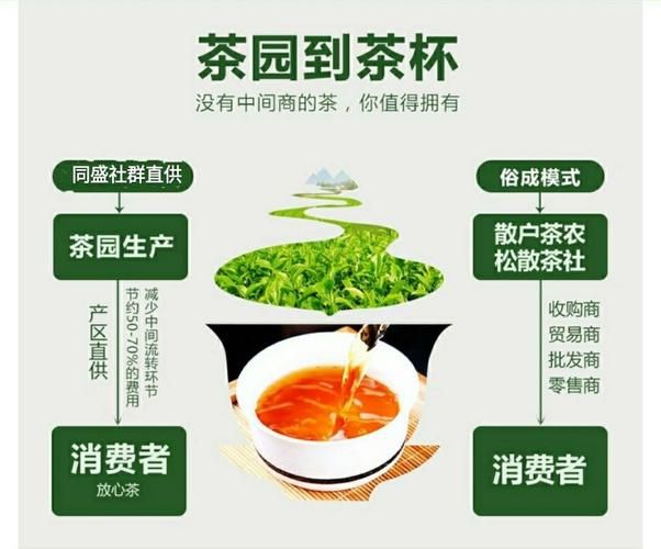 如何做好关于茶文化社群?