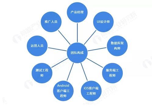 专业做APP软件开发团队如何选