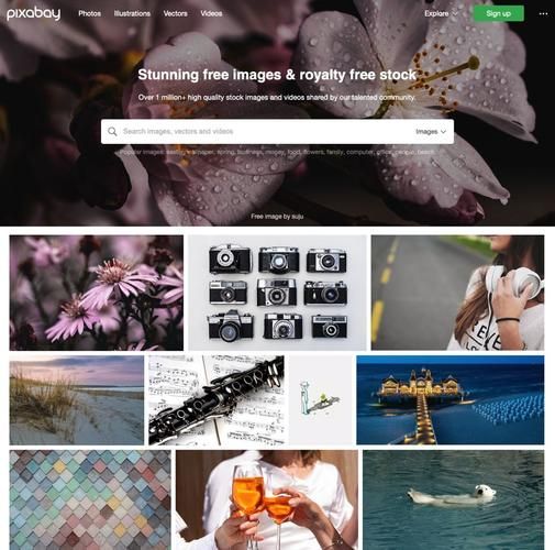 探索免费图片素材网站，发掘无限创意灵感