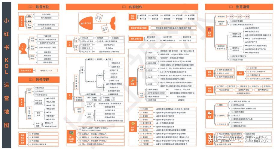 NO.2小红书从0做起!基础信息如何合理设置?