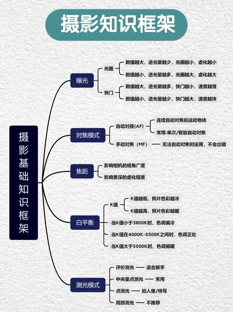 PS小技巧:用透视裁剪工具把倾斜的相框拉正拉直,新手必学基础