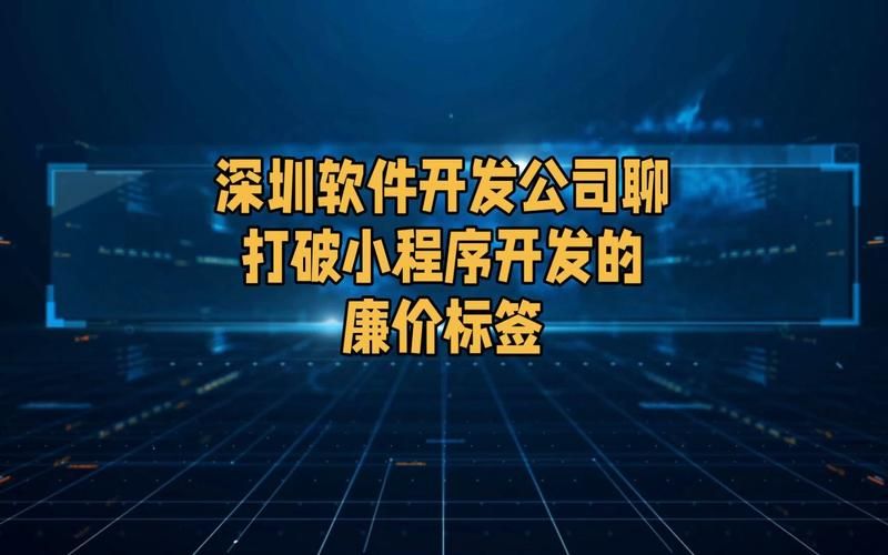 深圳小程序开发公司，打造优质体验的引领者