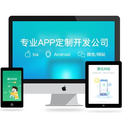 开发app的公司叫什么？