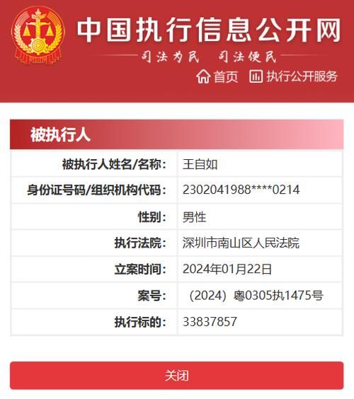 中国执行信息公开网，透明执法，保障权益